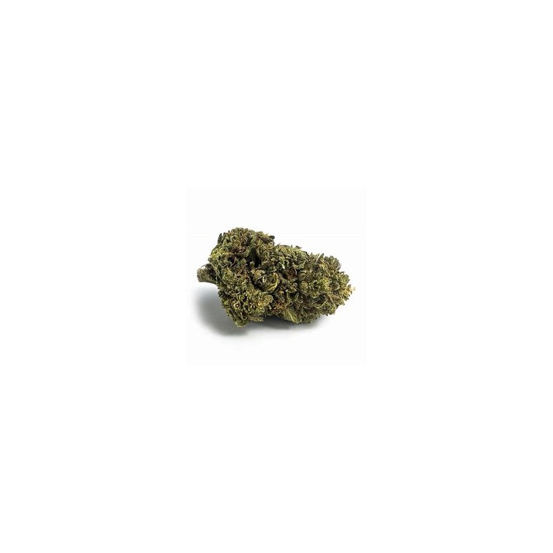 Fleur de CBD Jamaican Pearl