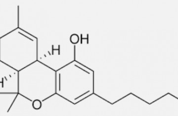 Qu'est ce que le Delta 9 CIS Tétrahydrocannabinol (CIS-THC) ?